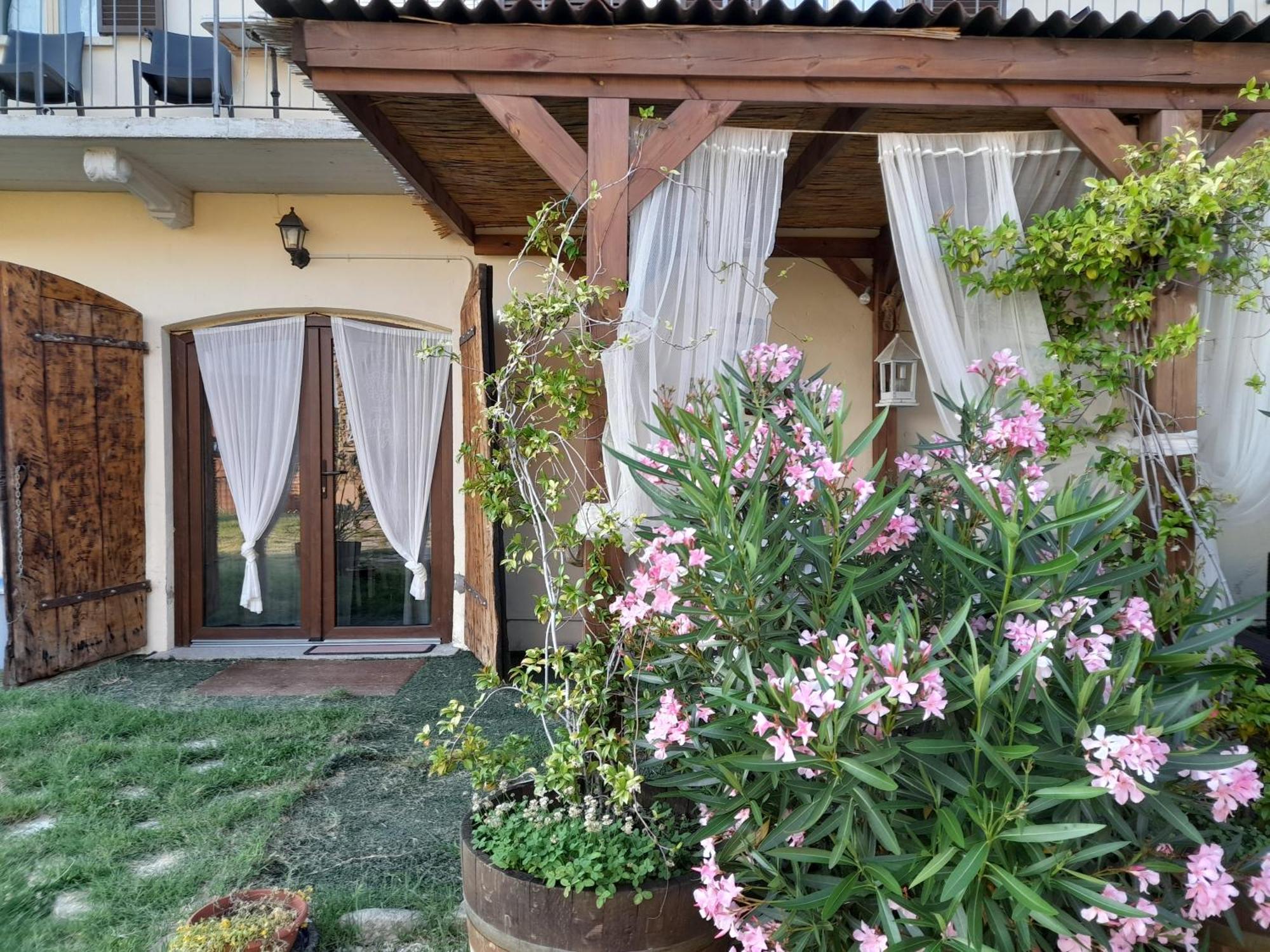 Montelupo Albese Madama Langa Country House Con Piscina Nelle Vigne מראה חיצוני תמונה